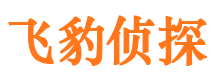 八道江市侦探调查公司